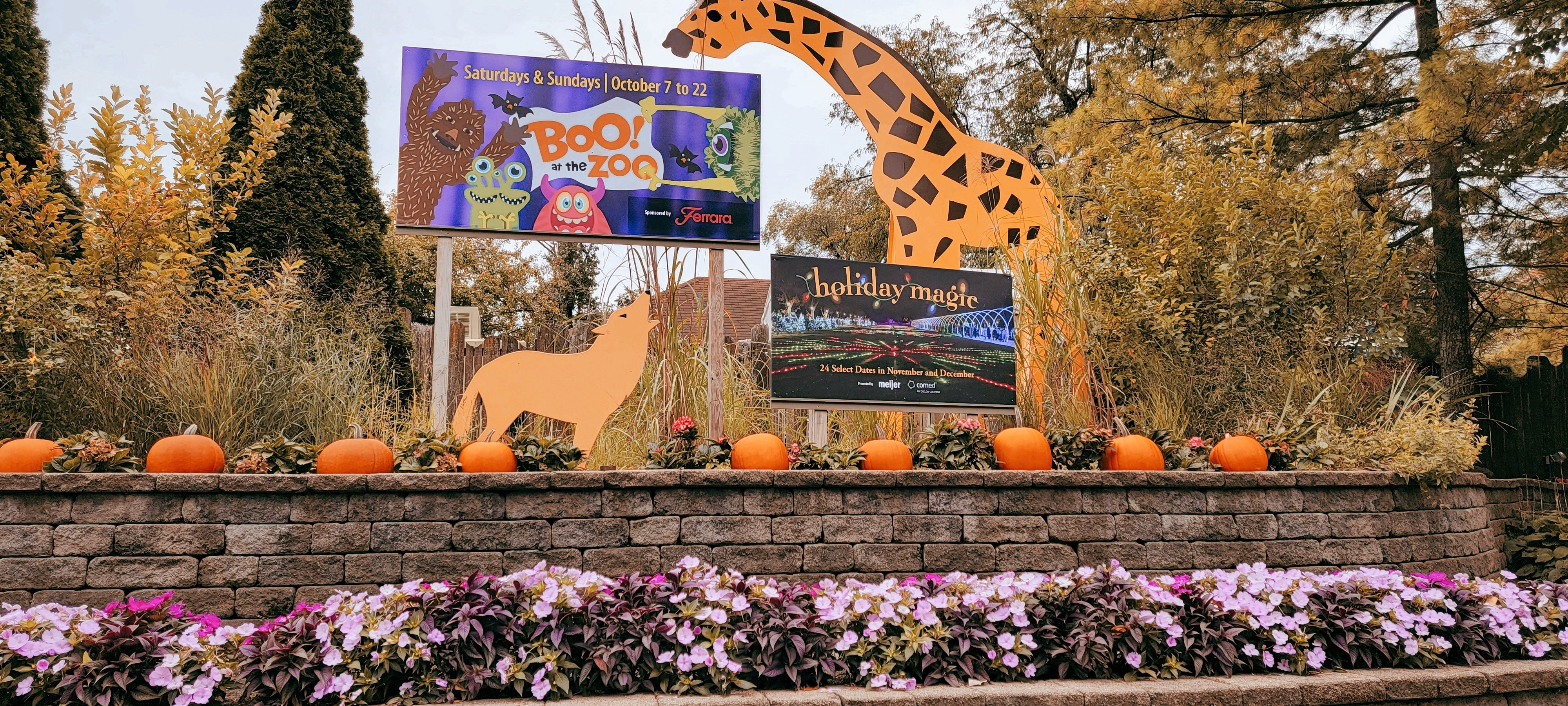 Brookfield Zoo Boo! at the Zoo: How to Plan Your Visit