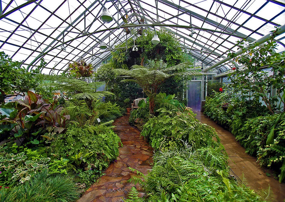 Plants-OP-Conservatory