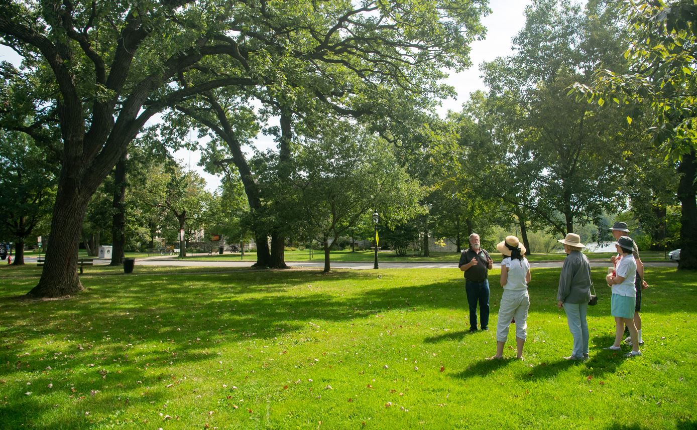 Who is Frederick Law Olmstead?