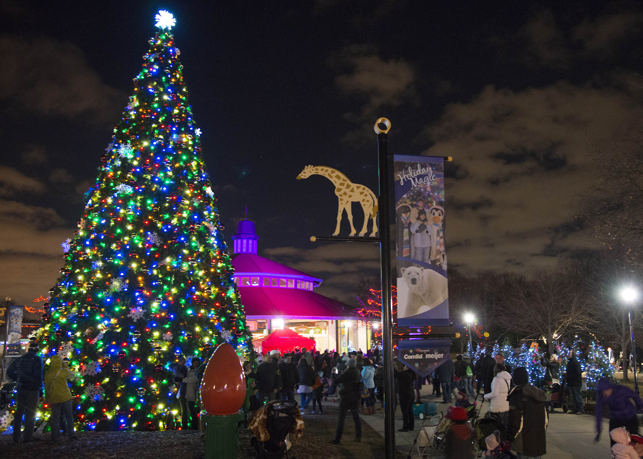 Talking tree, holiday magic @ brookfield (2)